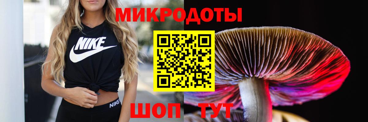 Псилоцибиновые грибы MAGIC MUSHROOMS  Вход с VPN  Долгопрудный 